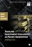 Algopix Similar Product 5 - Energy Market Experience Tackling