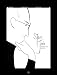 Algopix Similar Product 11 - Steve Jobs Genius by Design Campfire