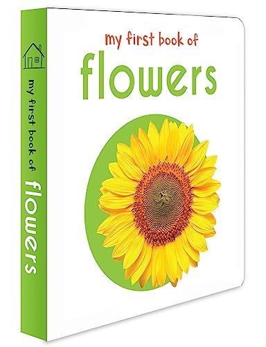 Algopix Similar Product 13 - My First Book of Flowers