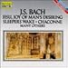 Algopix Similar Product 18 - J S Bach Jesu Joy of Mans Desiring