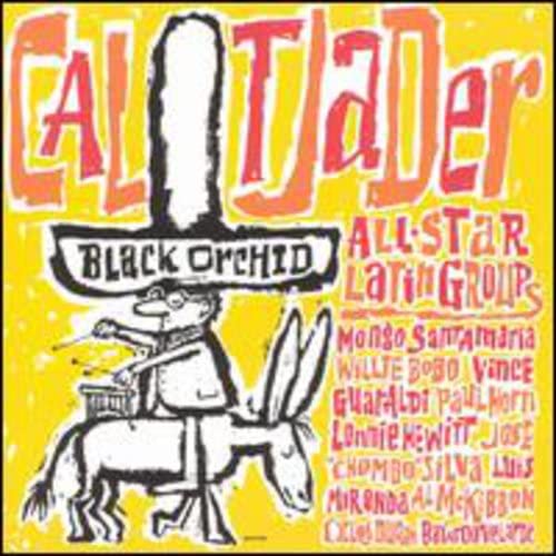 Algopix Similar Product 4 - Black Orchid