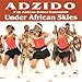 Algopix Similar Product 11 - Under African Skies