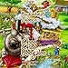 Algopix Similar Product 9 - Choo Choo Boogaloo Zydeco Music For