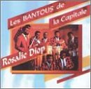 Algopix Similar Product 11 - Rosalie Diop