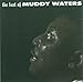 Algopix Similar Product 14 - The Best of Muddy Waters