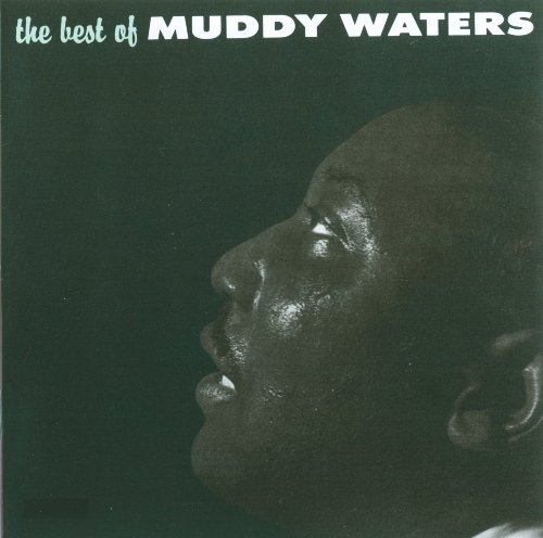Algopix Similar Product 18 - The Best of Muddy Waters