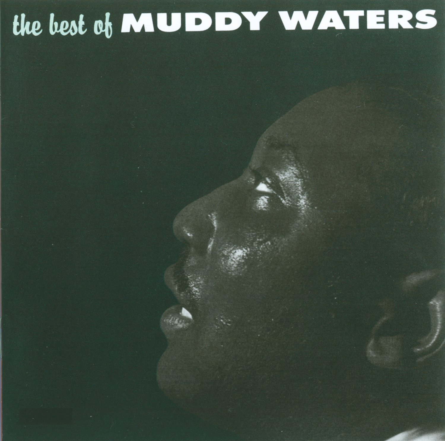 Algopix Similar Product 16 - The Best of Muddy Waters