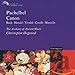 Algopix Similar Product 14 - Pachelbel: Canon