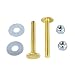 Algopix Similar Product 2 - Keeney PP83516 Plumb Pak Toilet Bolt