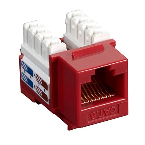 Algopix Similar Product 19 - LAN WORKGROUP V5.0  10-USER