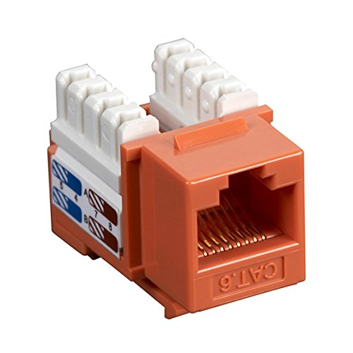 Algopix Similar Product 8 - LAN WORKGROUP V5.0  250-USER