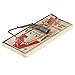 Algopix Similar Product 10 - Victor Metal Pedal Mouse Trap  2 Pack