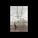 Algopix Similar Product 15 - The Wright Brothers
