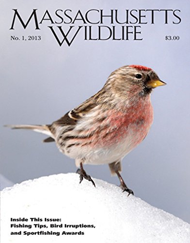Algopix Similar Product 8 - Massachusetts Wildlife