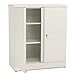 Algopix Similar Product 4 - HON Metal Storage Cabinet 3 Shelves