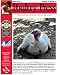 Algopix Similar Product 2 - Poultry Press