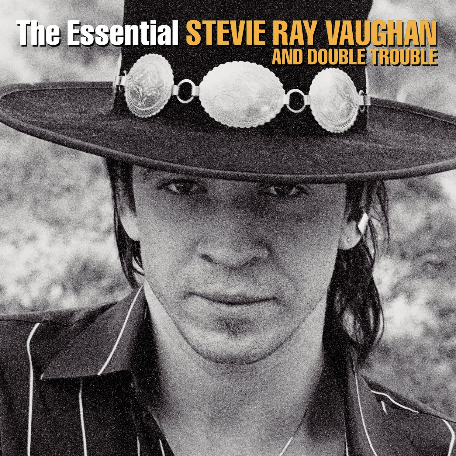 Algopix Similar Product 15 - The Essential Stevie Ray Vaughan And