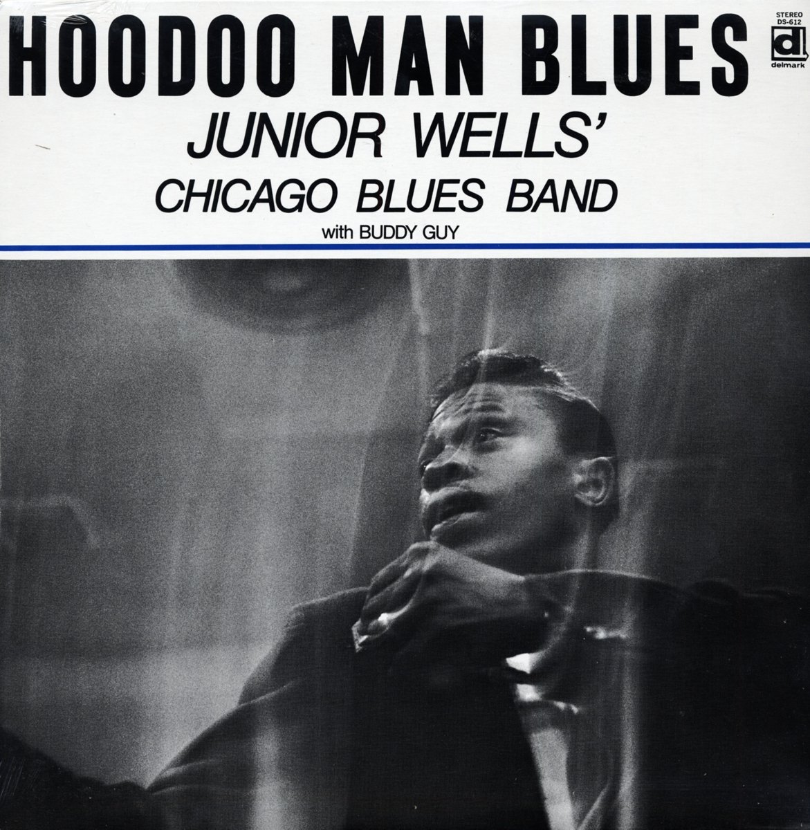 Algopix Similar Product 10 - Hoodoo Man Blues