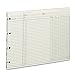 Algopix Similar Product 8 - Wilson Jones Ledger Paper Balance
