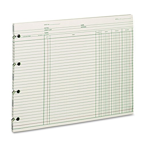 Algopix Similar Product 7 - Wilson Jones Ledger Paper Balance