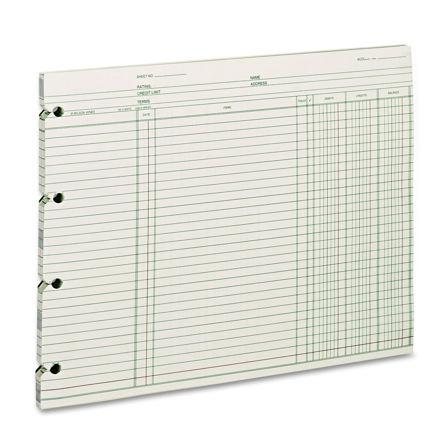 Algopix Similar Product 1 - Wilson Jones Ledger Paper Balance