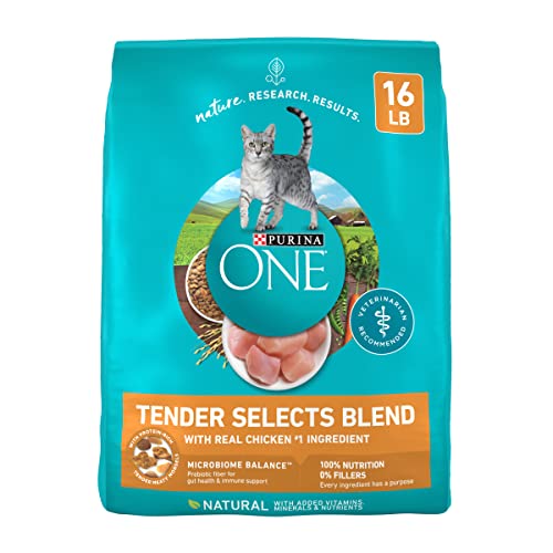 Algopix Similar Product 2 - Purina ONE Natural Dry Cat Food Tender
