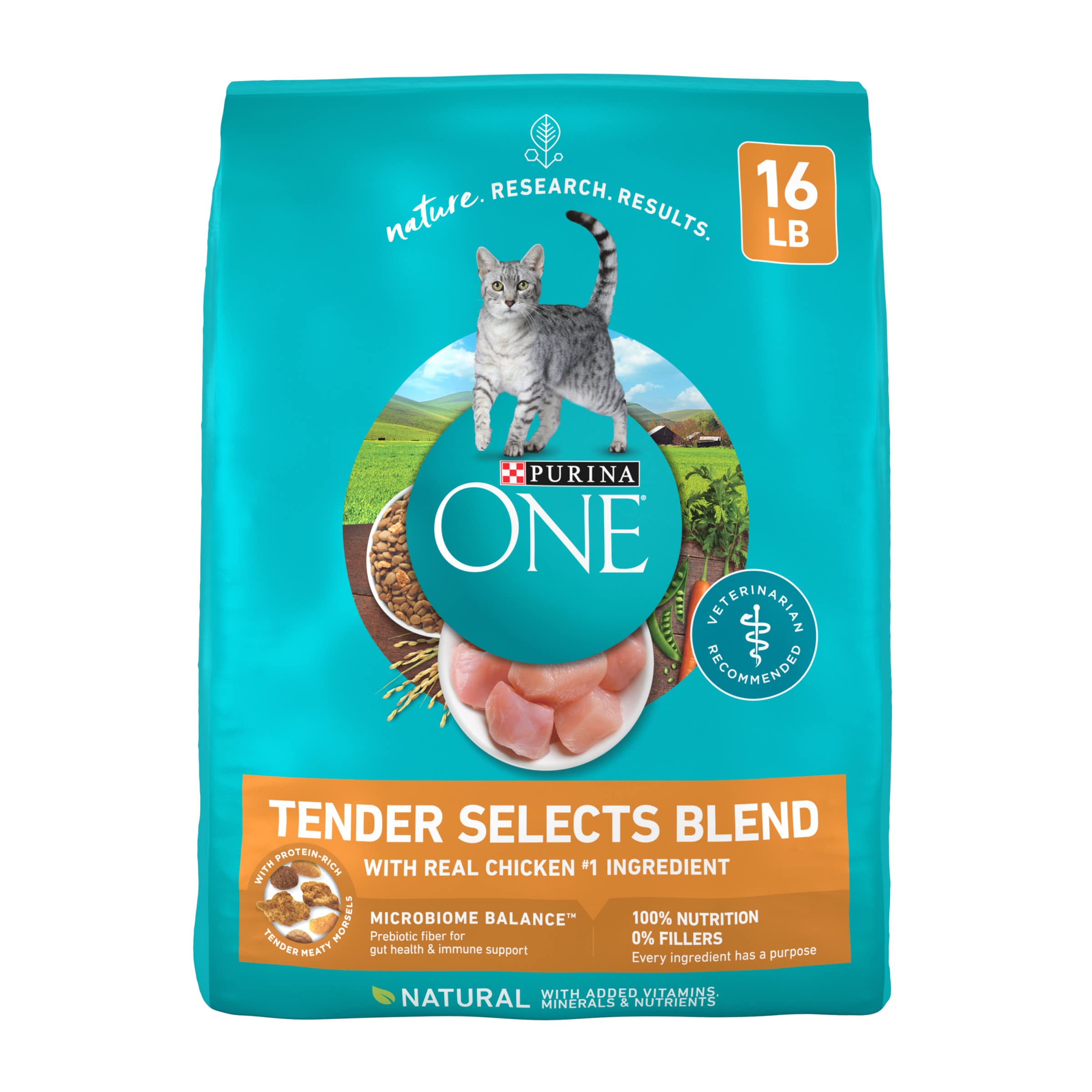 Algopix Similar Product 11 - Purina ONE Natural Dry Cat Food Tender