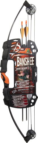 Algopix Similar Product 8 - Barnett Banshee Junior Archery Set