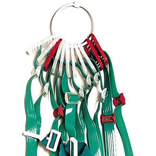 Algopix Similar Product 7 - Flag-A-Tag Storage Rings
