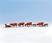 Algopix Similar Product 20 - Noch 15720 Brown Cows 7 H0 Scale