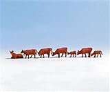 Algopix Similar Product 17 - Noch 15720 Brown Cows 7 H0 Scale