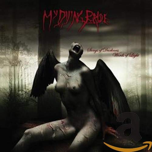 Algopix Similar Product 4 - Songs Of Darkness: Words Of Light