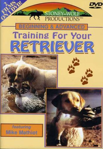 Algopix Similar Product 19 - Beginning  Advanced Training for Your