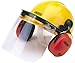 Algopix Similar Product 20 - Draper Safety Helmet With Ear Muffs And