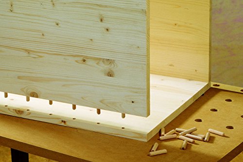 Algopix Similar Product 9 - Wolfcraft  2909 Dowel Pins Pack Of