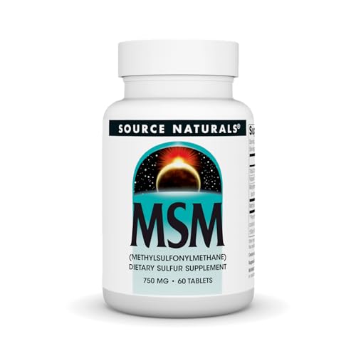 Algopix Similar Product 1 - Source Naturals MSM