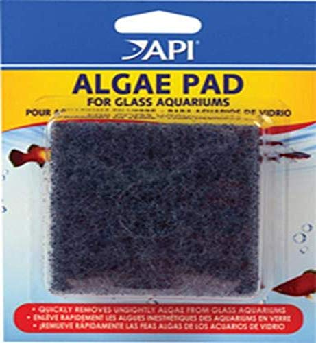 Algopix Similar Product 7 - API HAND HELD ALGAE PAD For Glass