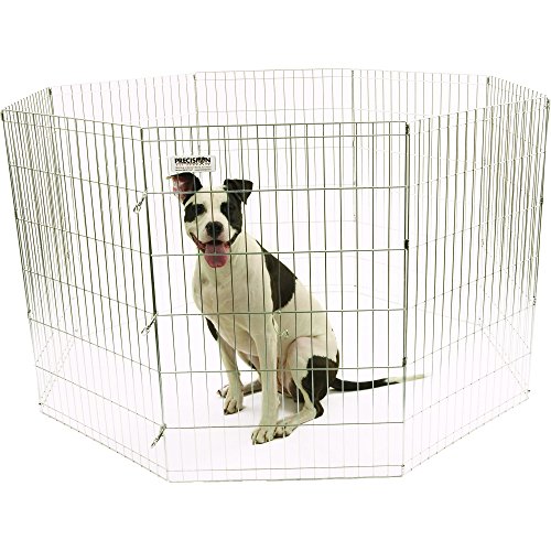 Algopix Similar Product 4 - Precision Pet Silver ExPen with Snaps