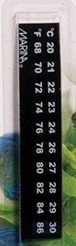 Algopix Similar Product 19 - Marina  Diameterolphin 68 to