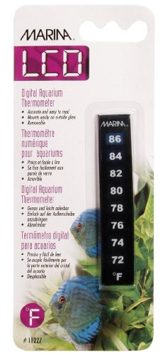 Algopix Similar Product 15 - Marina Nova Fahrenheit only 72 to