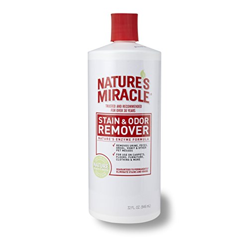Algopix Similar Product 4 - Natures Miracle Stain  Odor Remover
