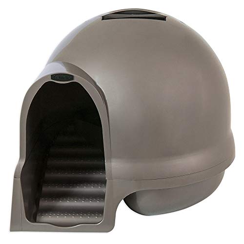Algopix Similar Product 18 - Petmate Booda Clean Step Cat Litter Box