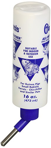 Algopix Similar Product 12 - Oasis All Weather Water Bottle  for