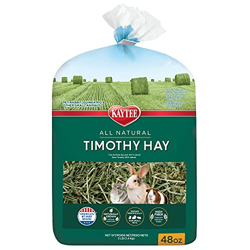 Algopix Similar Product 17 - Kaytee All Natural Timothy Hay for