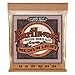 Algopix Similar Product 9 - Ernie Ball Earthwood Medium Light