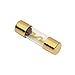 Algopix Similar Product 3 - Raptor RAGU605 60 Amp Agu Fuses Gold 5Pk
