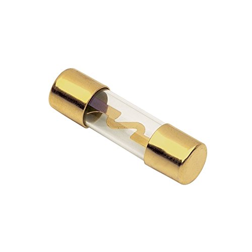 Algopix Similar Product 9 - Raptor RAGU605 60 Amp Agu Fuses Gold 5Pk