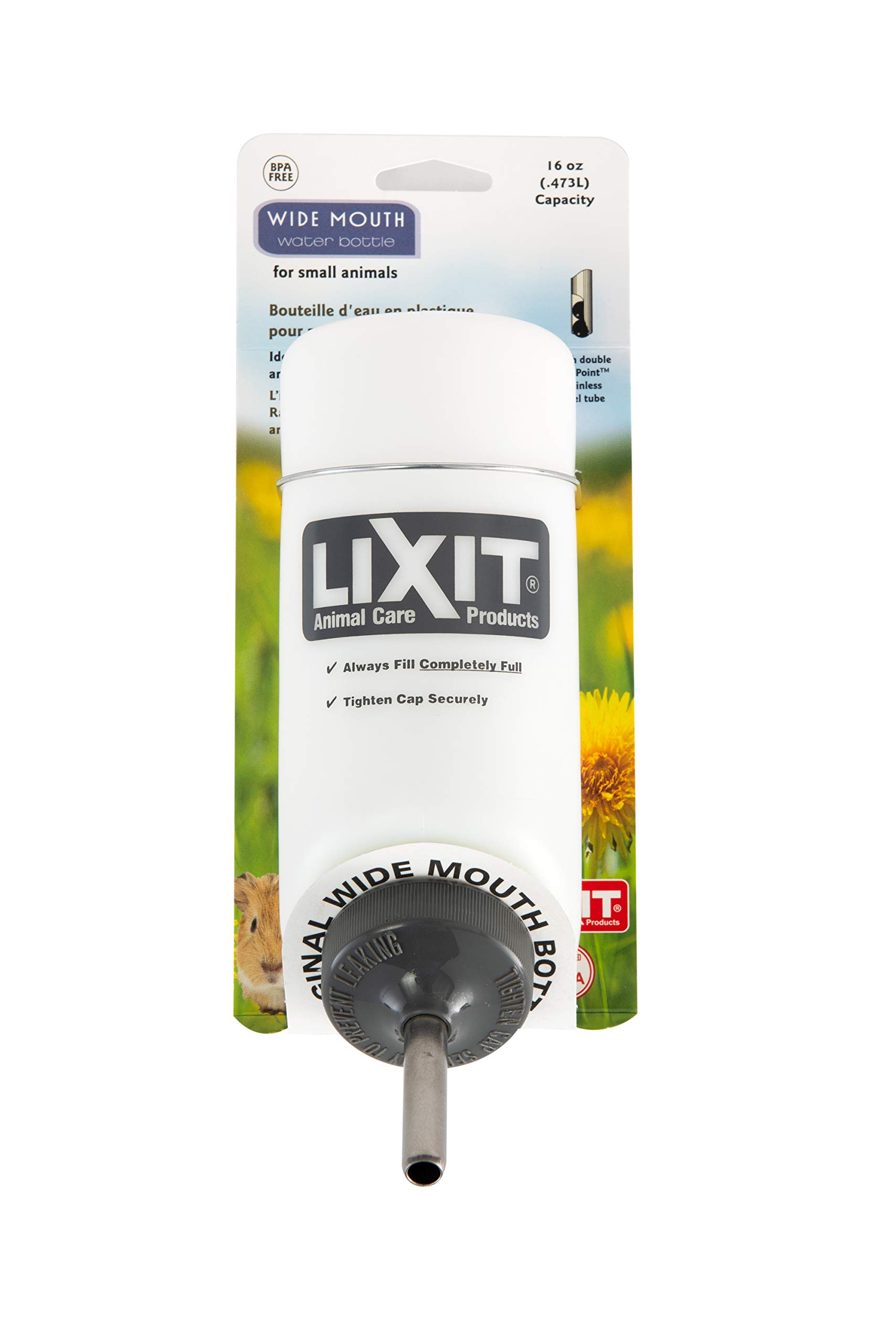 Algopix Similar Product 8 - Lixit Pet Wide Mouth Water Bottle 16