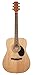 Algopix Similar Product 5 - Jasmine S35 Dreadnought Acoustic Guitar