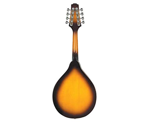Algopix Similar Product 18 - Rogue RM-100A A-Style Mandolin Sunburst